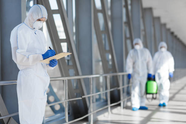 Best Mold Damage Restoration  in Nettleton, MS