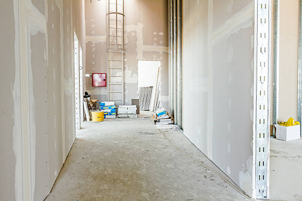 Best Mold Removal for HVAC Installations  in Nettleton, MS