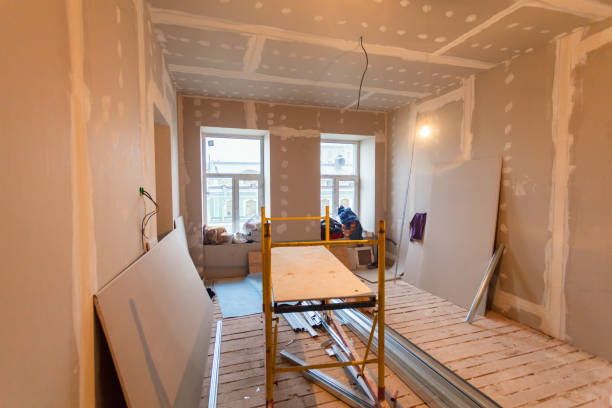 Best Commercial Mold Inspection  in Nettleton, MS