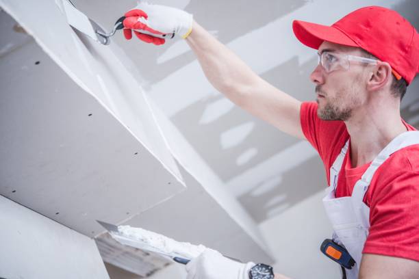 Mold Documentation for Insurance Claims in Nettleton, MS